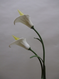 Dekorative Tischlampe - Glasvase mit Callablüten