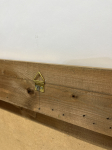 Golfarbener Spiegel mit Muster
